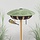 Vogelvoerhouder - Hangend of staand - Rond - Diverse modellen