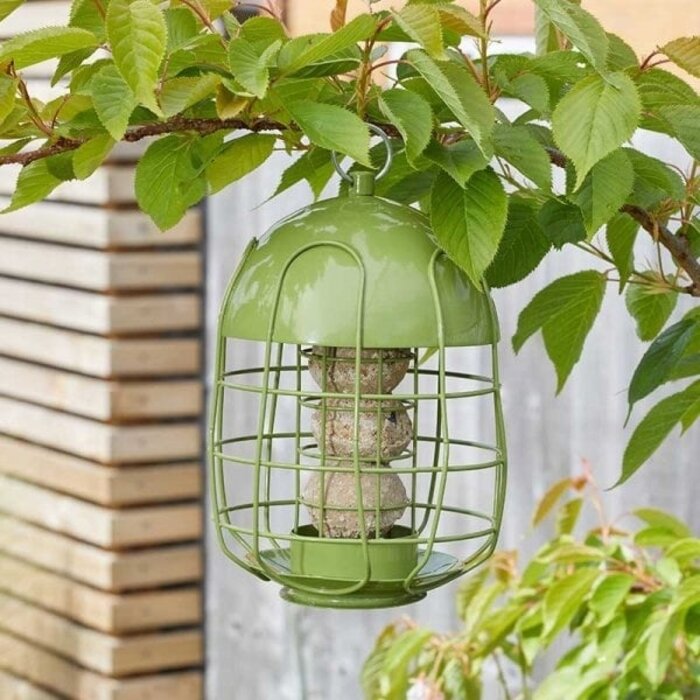 Smart Garden Products Acorn - Voedersilo - Beschermd - Kleine vogels - Groen