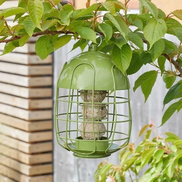 Smart Garden Products Acorn - Voedersilo - Beschermd - Kleine vogels - Groen