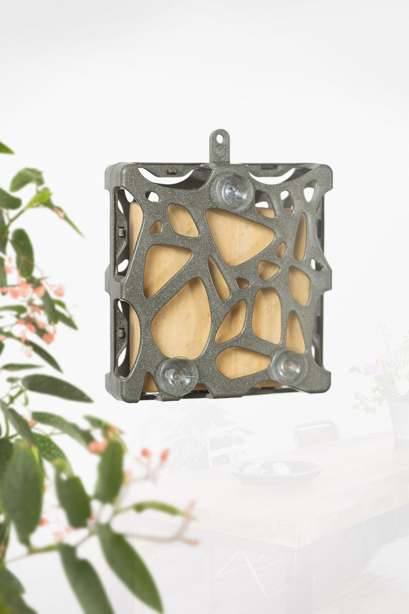 Singing Friend Anna - Vetblokhouder - Hangend of aan raam