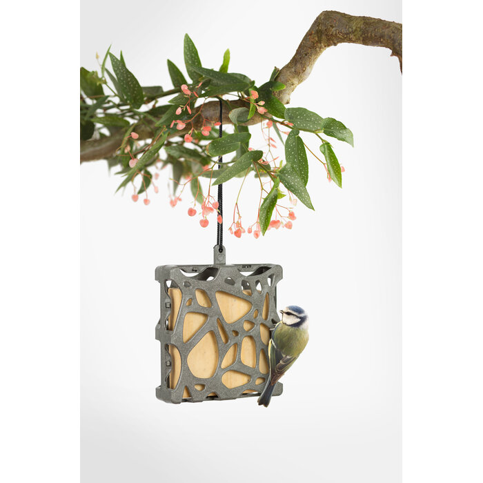 Singing Friend Anna - Vetblokhouder - Hangend of aan raam