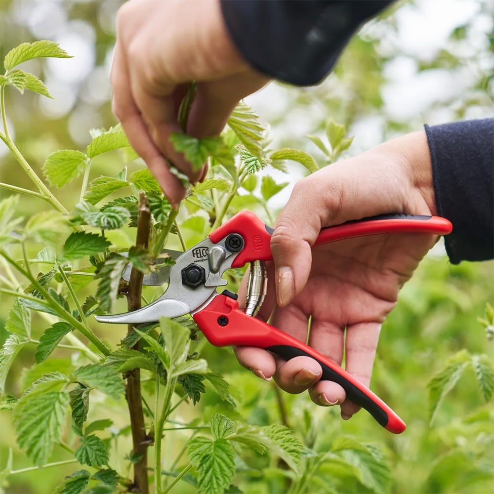 Felco 171 snoeischaar - 20 mm - Medium en large