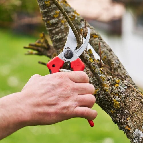 Felco 171 snoeischaar - 20 mm - Medium en large