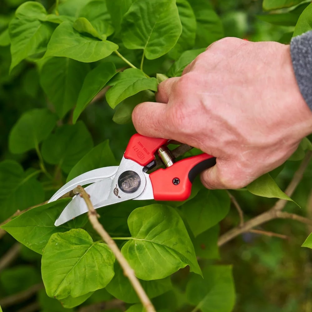 Felco 171 snoeischaar - 20 mm - Medium en large