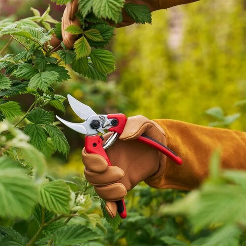 Felco 171 snoeischaar - 20 mm - Medium en large