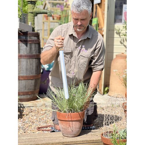 Sneeboer Bloempotmes - Containermes - 53,5 cm  - Verpotten