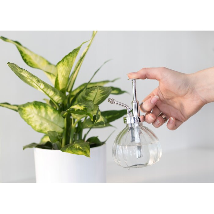 Esschert Design Verstuiver - Glas - Plantensproeier - Vernevelaar - 0,2 liter