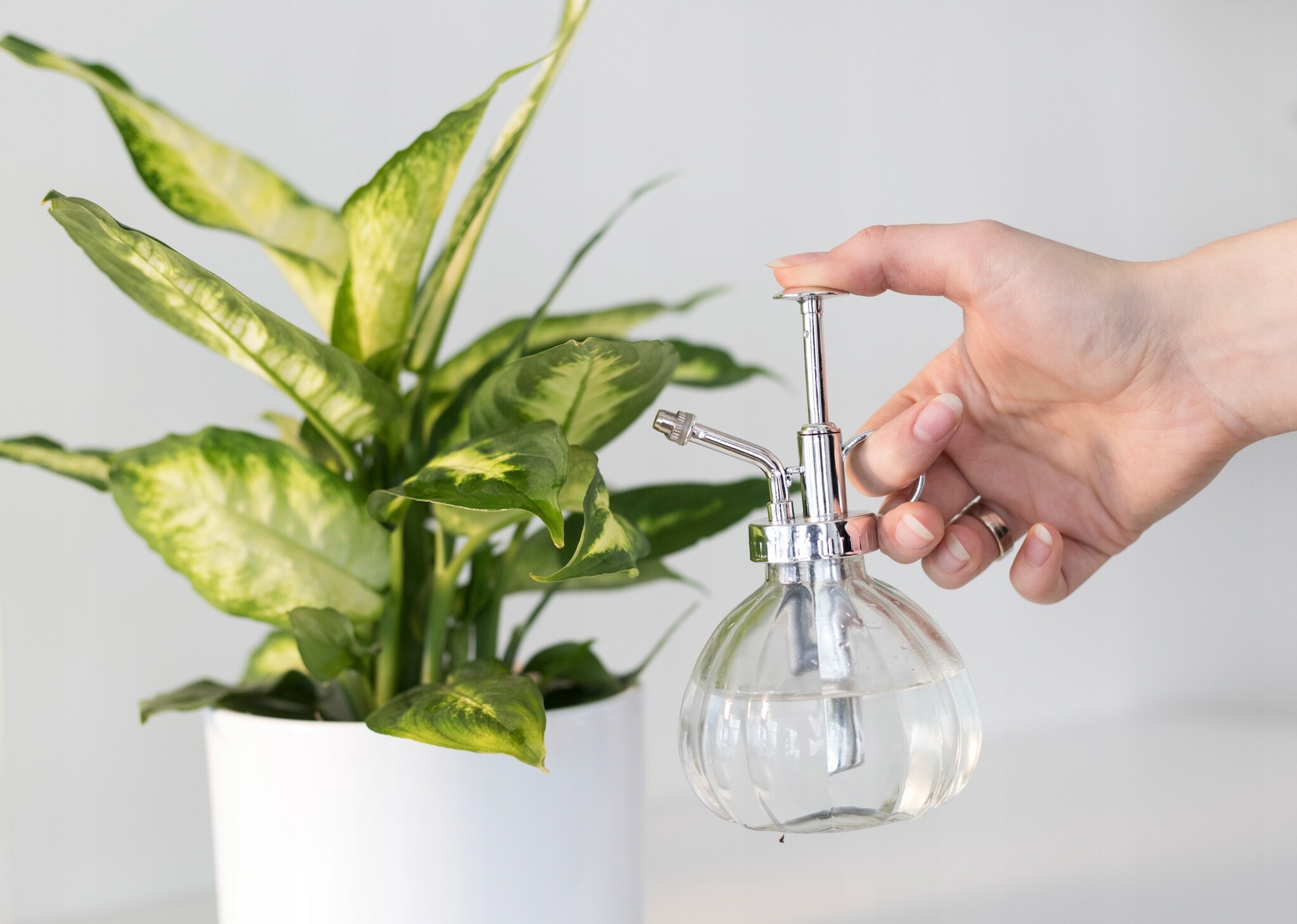 Esschert Design Verstuiver - Glas - Plantensproeier - Vernevelaar - 0,2 liter