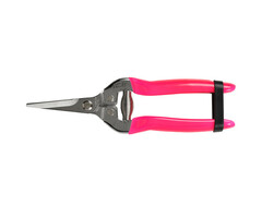 Burgon & Ball FloraBrite Roze fruitschaar - opvallend - 19 cm