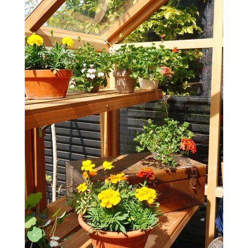 Gabriel Ash Classic "Six" - 188 cm breed - cederhout - Openslaande deur