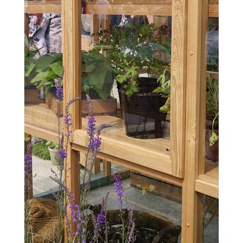 Gabriel Ash Classic "Eight" - 245 cm breed - Openslaande deur - houten tuinkas