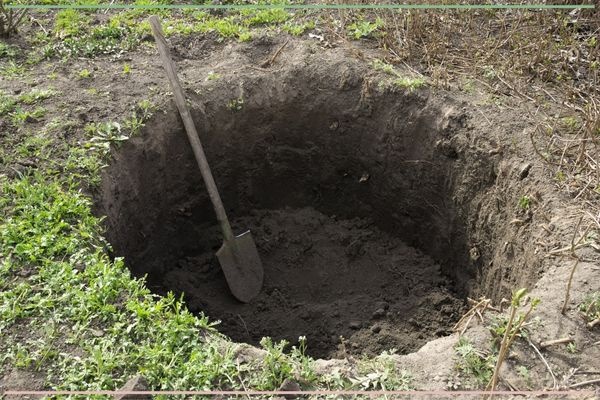 5 valkuilen bij start van een moestuin
