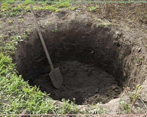 5 valkuilen bij start van een moestuin