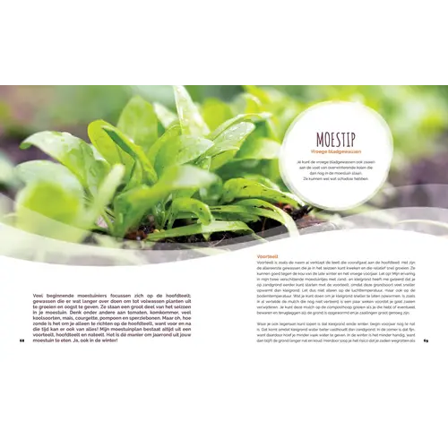 Moesmeisje Kleine Moestuin, Grote Opbrengst - Kim Nelissen