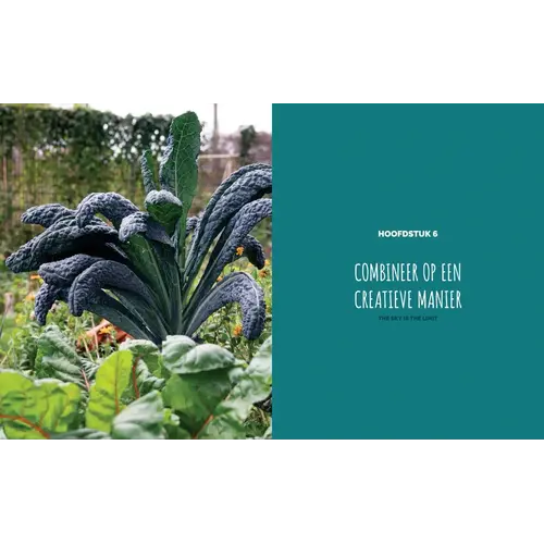 Moesmeisje Kleine Moestuin, Grote Opbrengst - Kim Nelissen