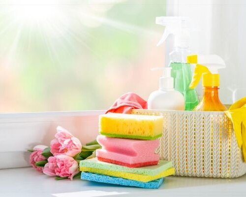 De Grote Voorjaarsschoonmaak: Slimmer én Groener met BIOnyx