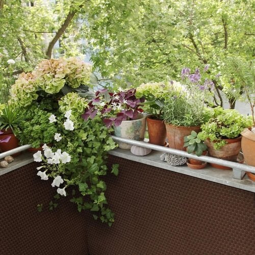 De Wiltfang Polyrotan Balkonscherm 0,9 x 5 meter – Walnootbruin - PE