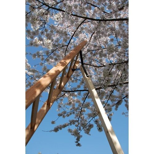 Van Eldik ladders Houten plukladders - 2 tot 4,25 m - 7 tot 16 sporten