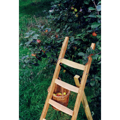 Van Eldik ladders Houten plukladders - 2 tot 4,25 m - 7 tot 16 sporten