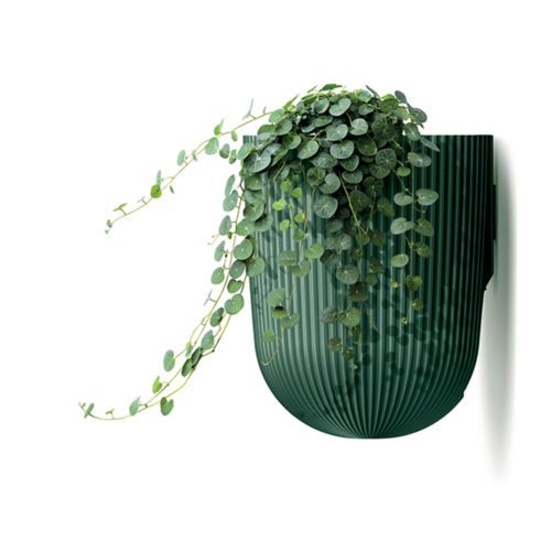 Prosperplast Bloempot Milly voor aan de muur - 5 kleuren - 14,6 cm - 2,1 liter