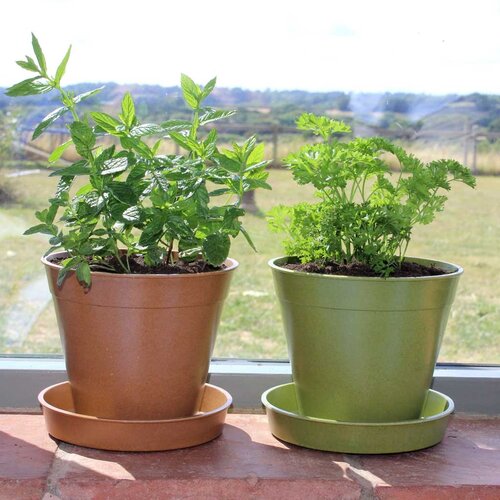 Haxnicks Bamboe bloempot - Terracotta - S t/m XXL - 100% biologisch afbreekbaar