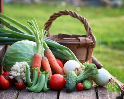 Moestuinieren in juli: De eerste grote oogst en slim herzaaien