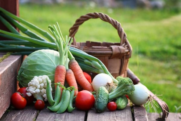 Moestuinieren in juli: De eerste grote oogst en slim herzaaien