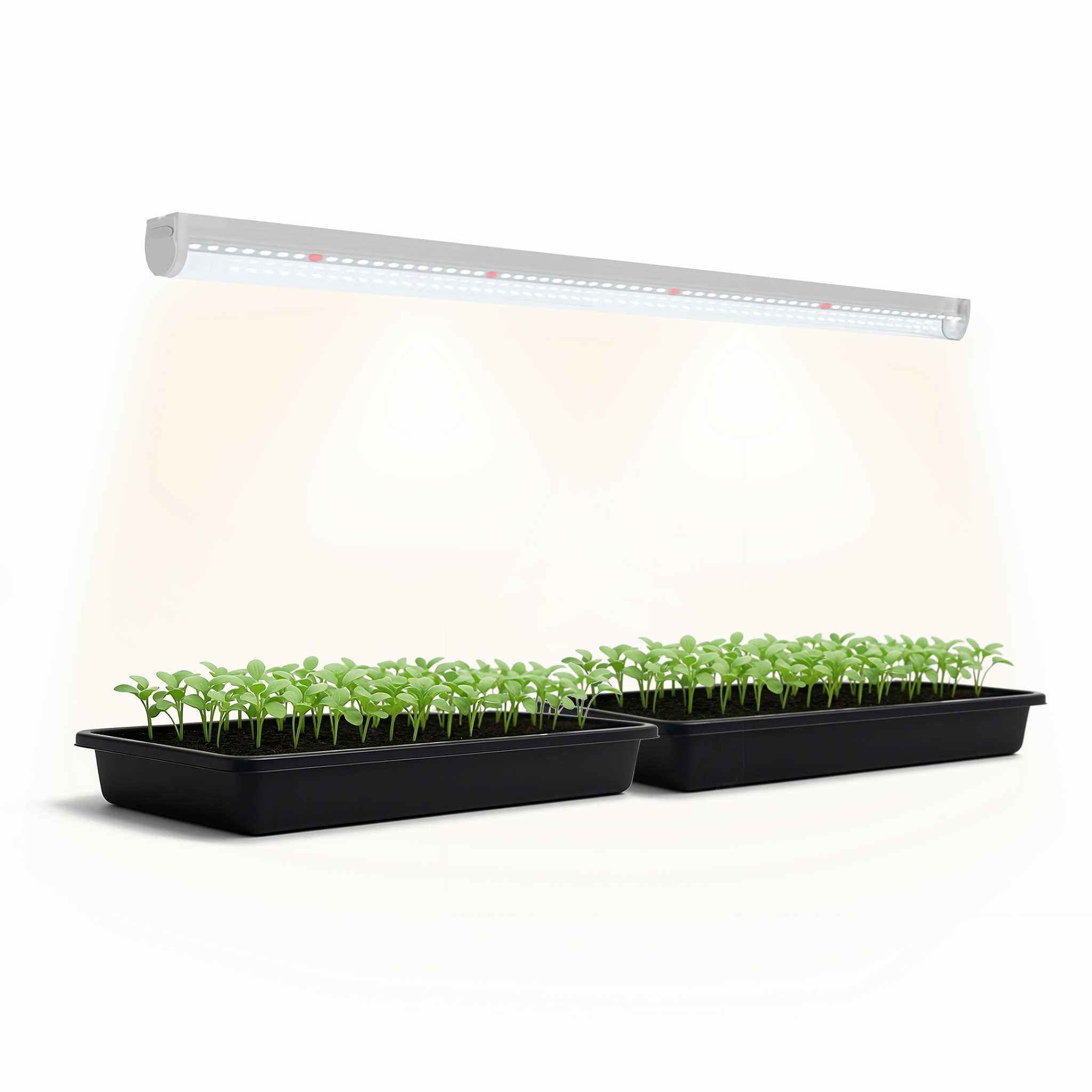 Biogreen Florabooster 200 - Plantenlamp met full-spectrum LED