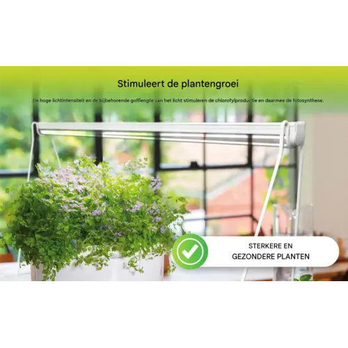Biogreen Florabooster 200 - Plantenlamp met full-spectrum LED