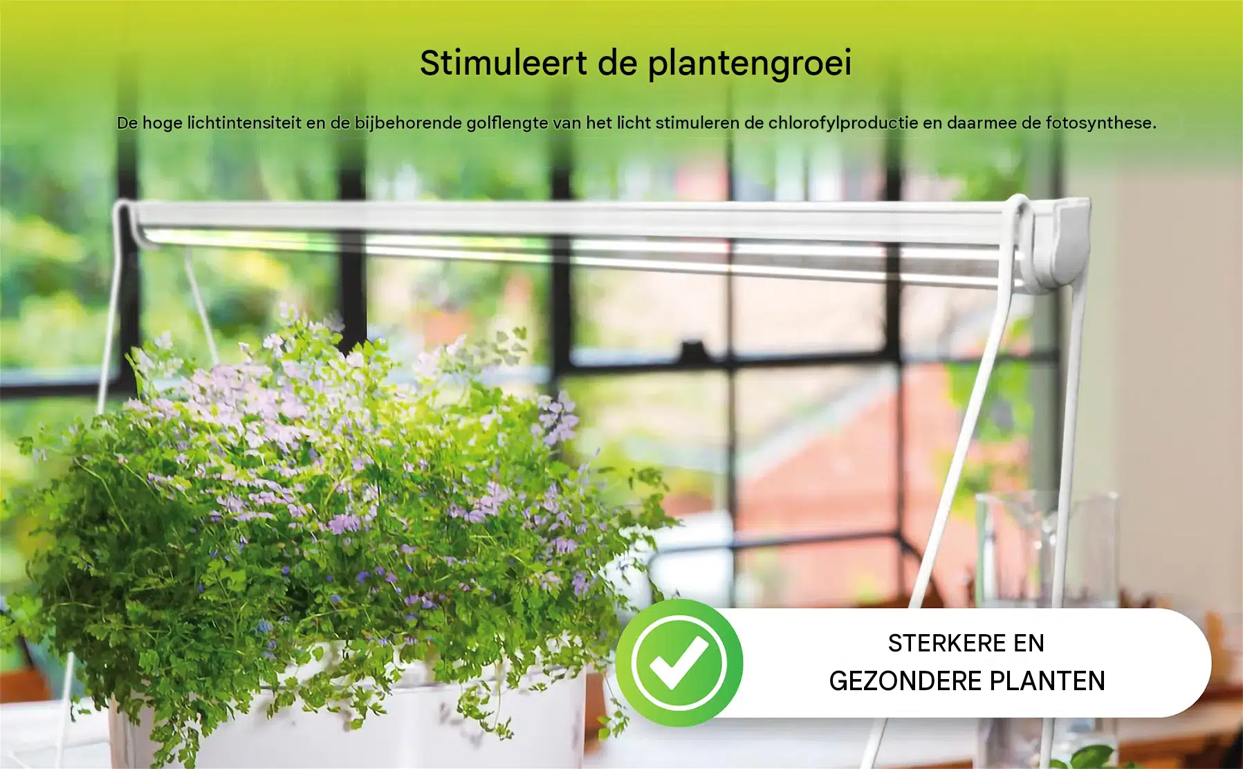 Biogreen Florabooster 200 - Plantenlamp met full-spectrum LED