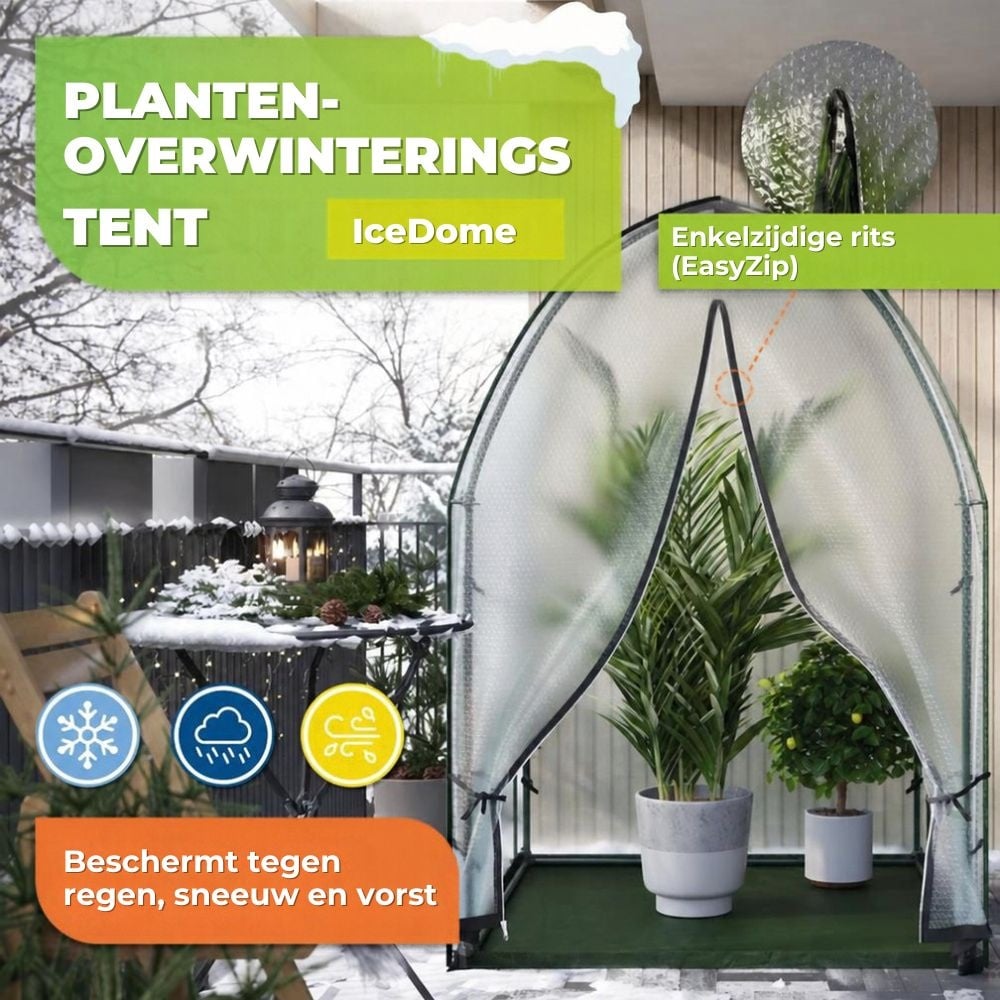 Biogreen Plantenoverwinteringstent ICEDOME ThermoPLUS - Groen - 120 x 120 x 183 cm