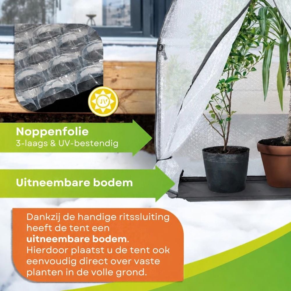 Biogreen Plantenoverwinteringstent ICEDOME ThermoPLUS - Groen - 120 x 120 x 183 cm