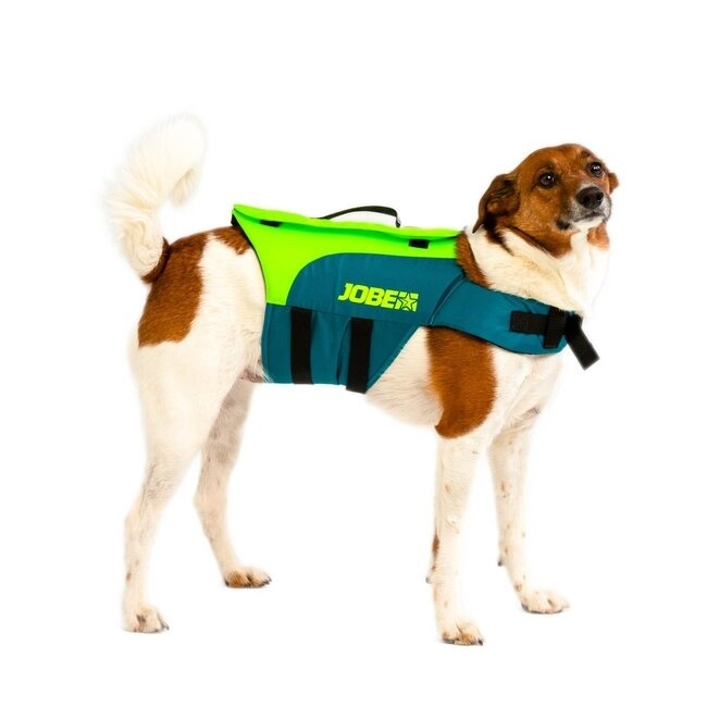Here you can see our entire range of dog lifejackets