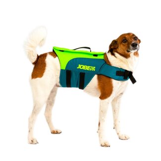 JOBE Dog swim jacket Lime Teal