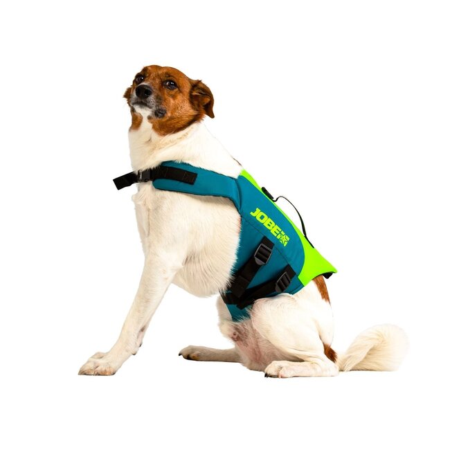 JOBE Dog swim jacket Lime Teal