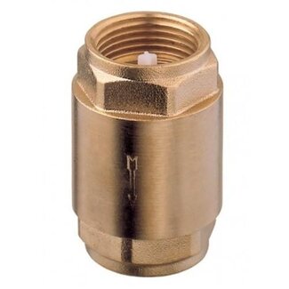 Guidi Guidi Spring-loaded check valve