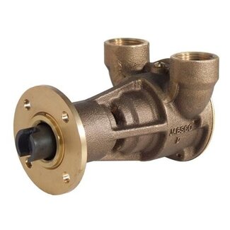 Jabsco Jabsco PUMP BRZ FLG 040 BSP