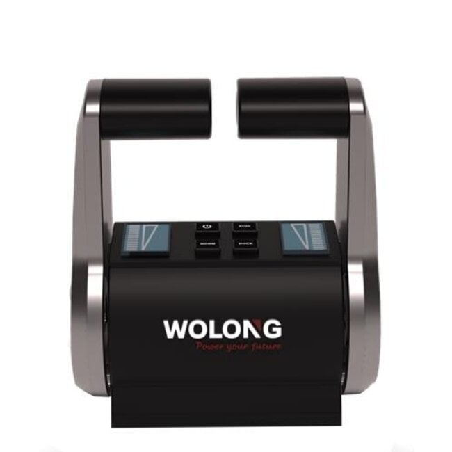 Wolong Flowstar topcontrol Twin remote control