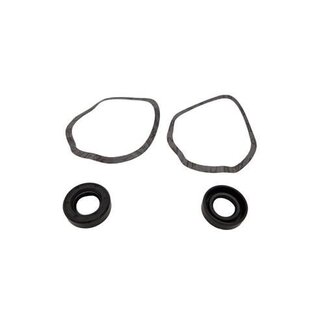 Rheinstrom Rheinstrom repair kit for F/FS370 pump