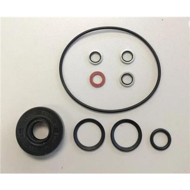 Lecomble & Schmitt Sealing set for pump set RV2