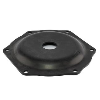 Rheinstrom Rheinstrom diaphragm for M60 pump