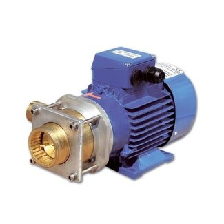 Rheinstrom Rheinstrom maceration pump FS 370