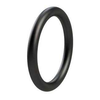 Rheinstrom O-ring
