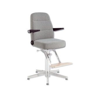 Zwaardvis Swordfish Chaircock Windhoek / Interglobe