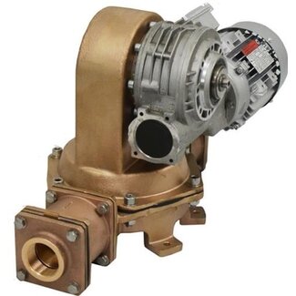 Rheinstrom Rheinstrom M60 diaphragm pump