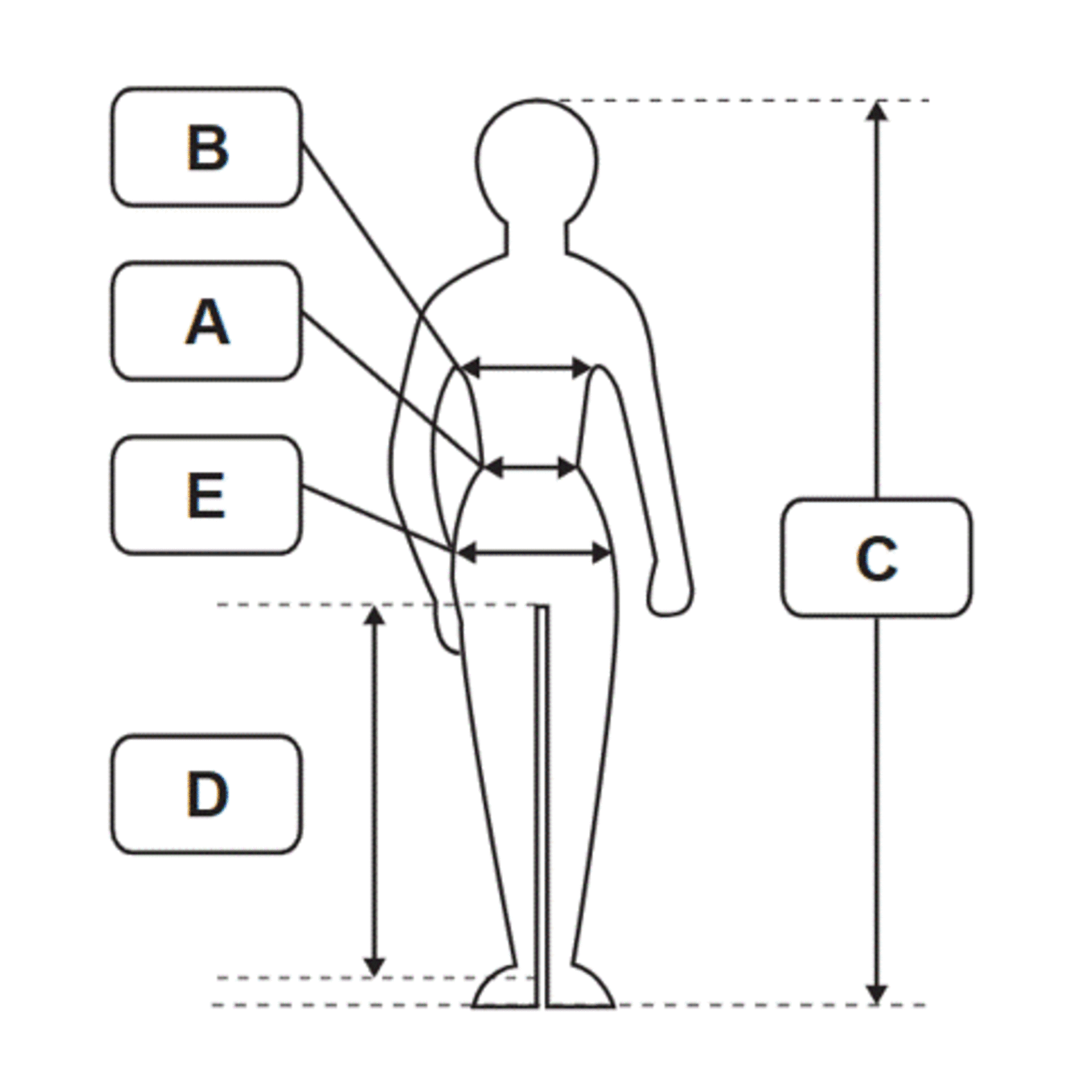 Size chart Sioen  clothing