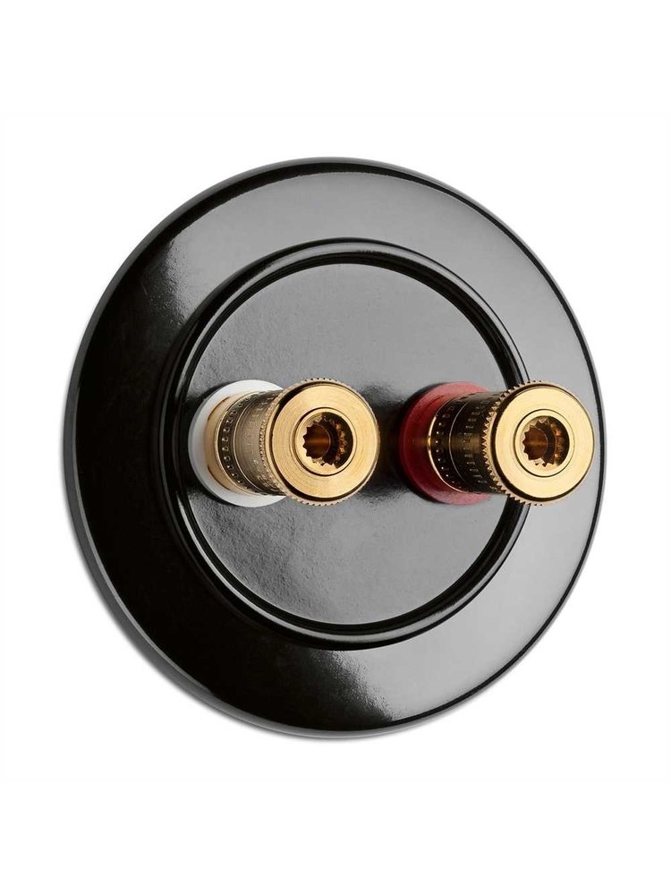 Bakeliet luidspreker terminal