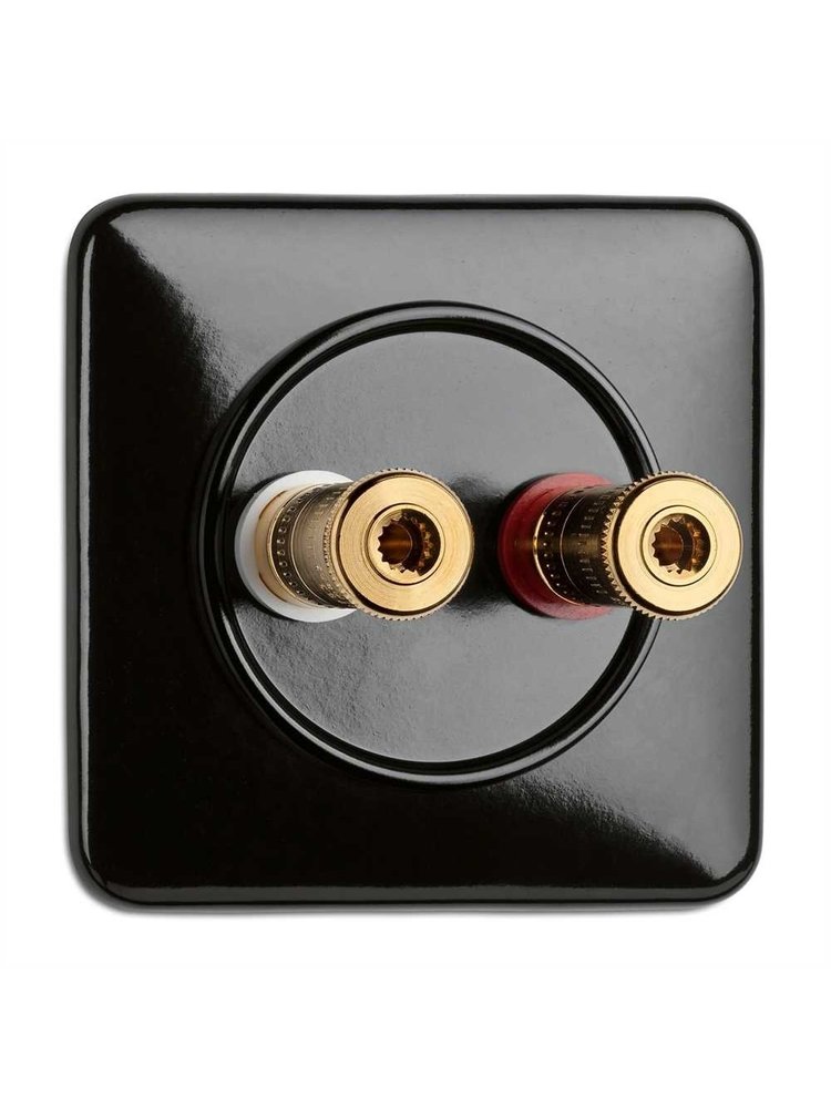 Bakeliet luidspreker terminal