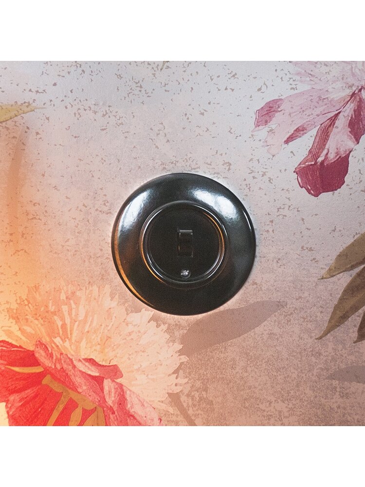 Bakeliet afdekraam inbouw - THPG schakelmateriaal - Retro schakelaar