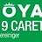 A19 Royal Caretop Pflegereiniger